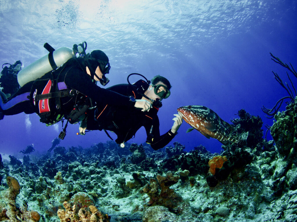 Dive Resort Marketing Photo - Riding Rock Resort, Bahamas